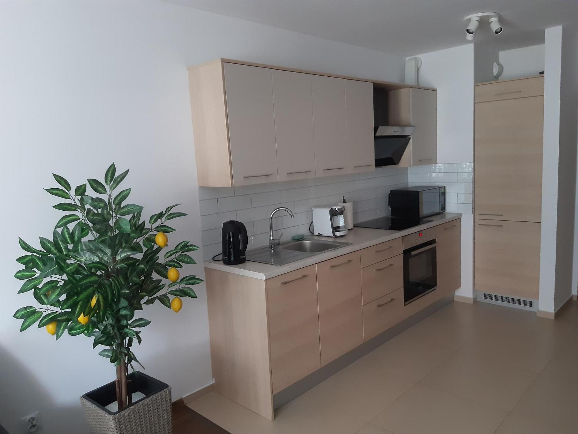 Apartament Apollo Zablocie 21 *